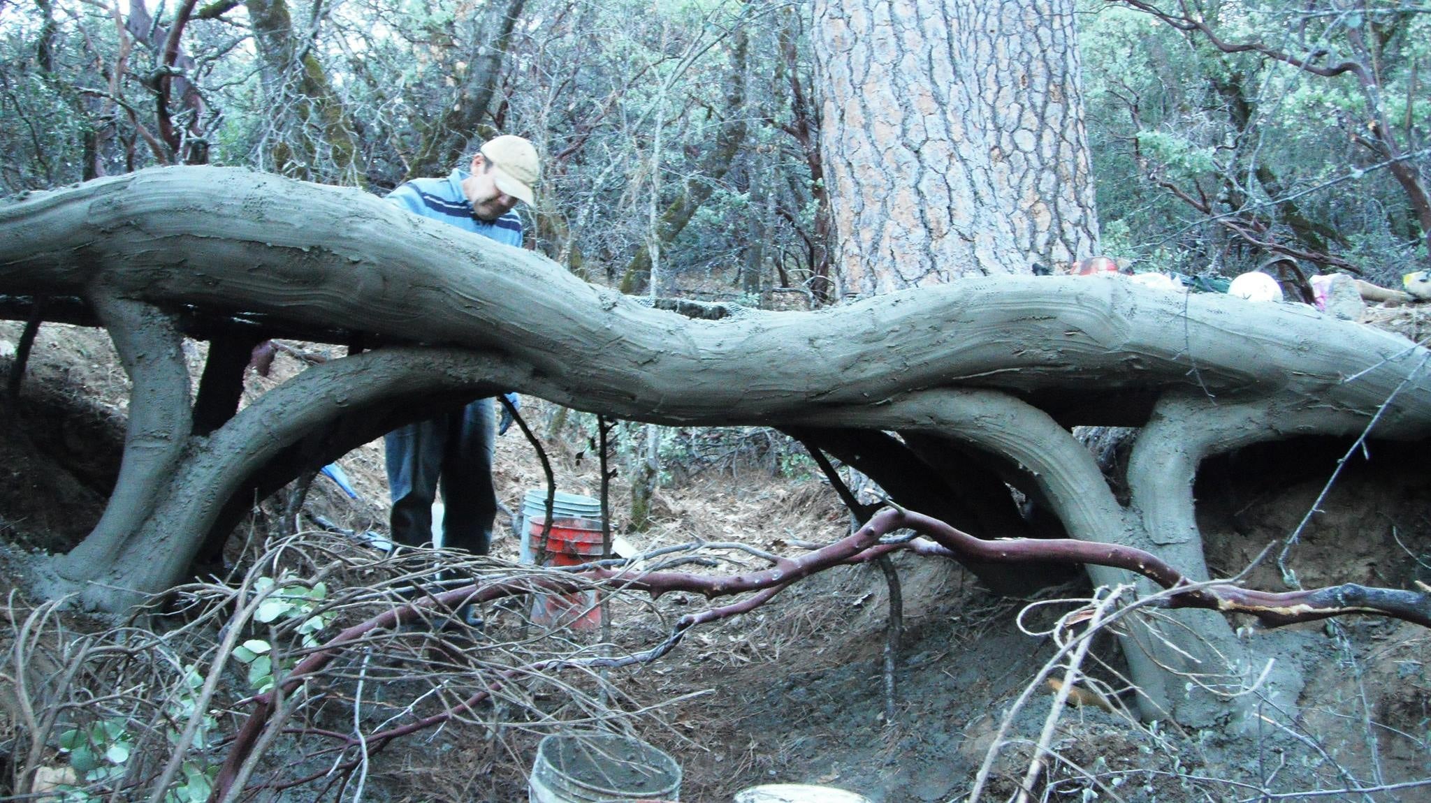 A builder in a cap sculpting a ferro-cement trail railing shaped like a twisting tree branch on arched legs, in an oak and manzanita forest
